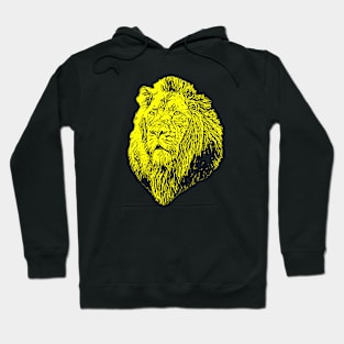 Lion portrait Hoodie